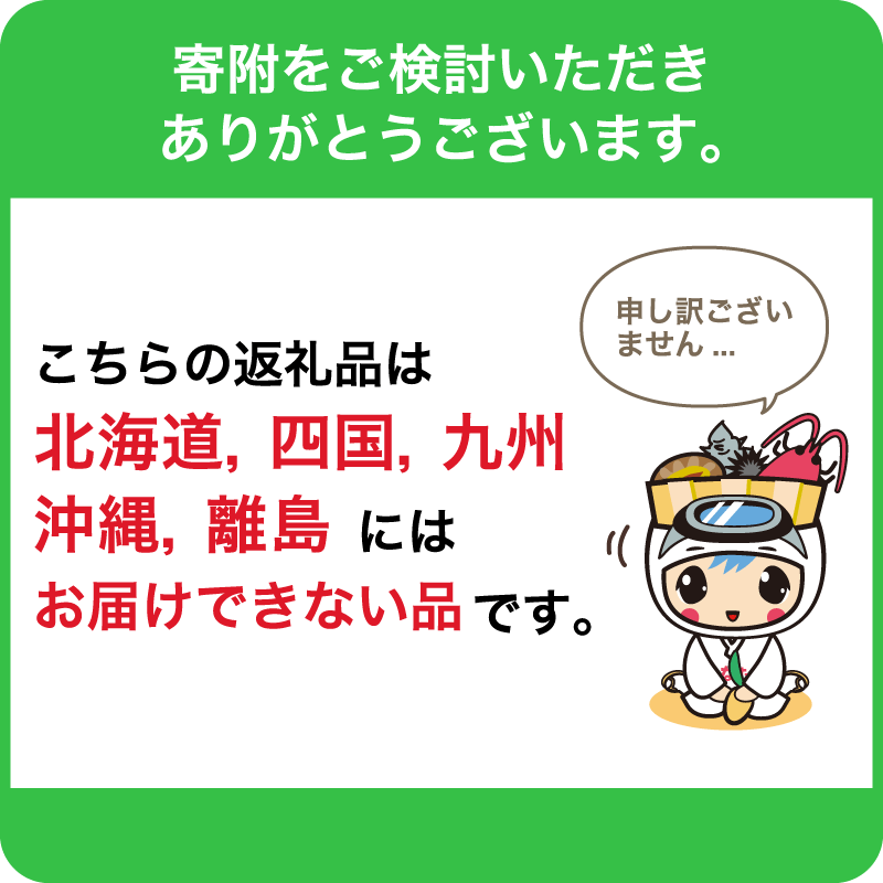 【先行受付 2025年5月下旬～6月中旬発送予定】『房州枇杷（ビワ） 3Lサイズ12粒入』完熟枇杷を農家から直送！ びわ 果物 フルーツ くだもの 千葉県 特産品