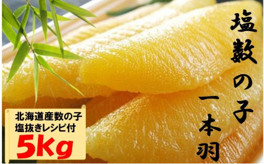 国産　塩数の子ジャンボ(北海道産）　1本羽　5kg　小分け（500g×10袋）