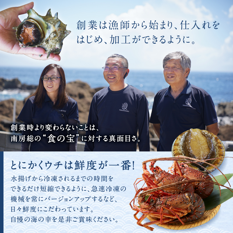 【天然】甘み凝縮！活〆冷凍伊勢海老900ｇ以上（300ｇ×3尾） 