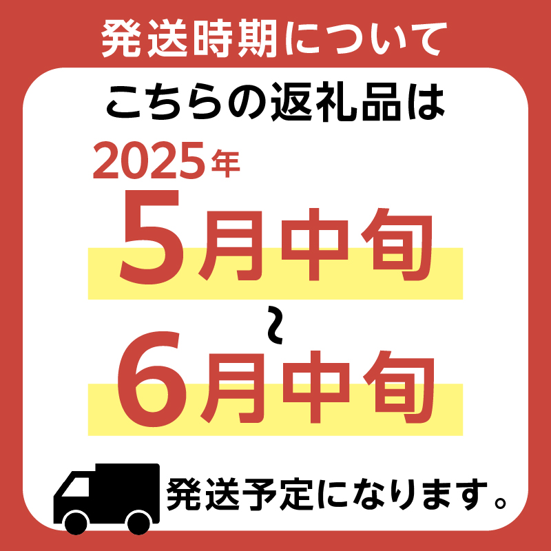 【先行受付 2025年5月中旬～6月中旬発送予定】【数量限定】生産者直送　ジューシー袋詰めびわ（訳あり混合サイズ12〜15個） 果物 フルーツ デザート おやつ 枇杷 ビワ 国産 特産品