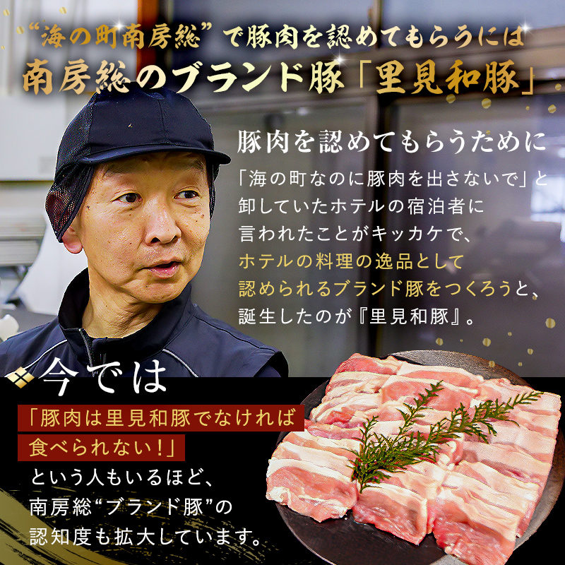 房総ブランド豚　里見和豚挽肉2kg 