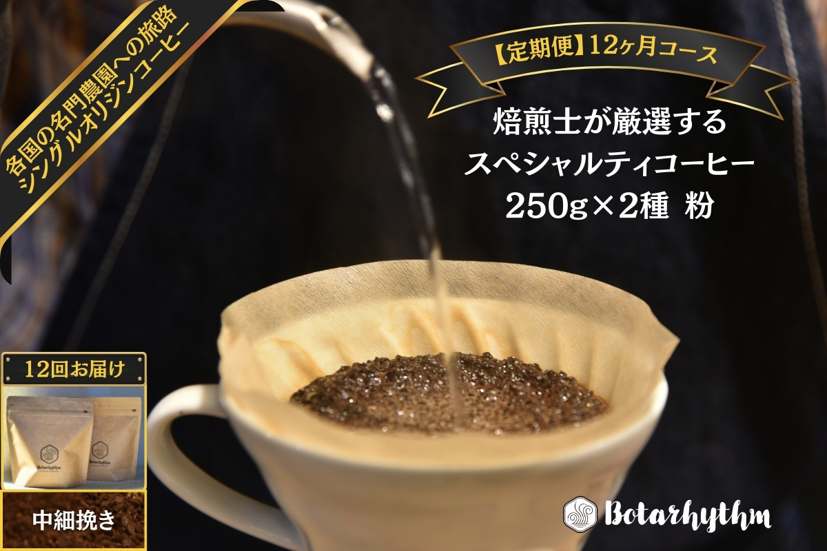 【定期便】スペシャルティコーヒー【粉】定期便 250g×2種 12ヶ月 