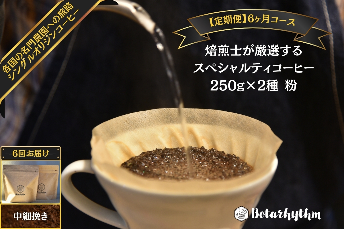 【定期便】スペシャルティコーヒー【粉】定期便 250g×2種 6ヶ月 