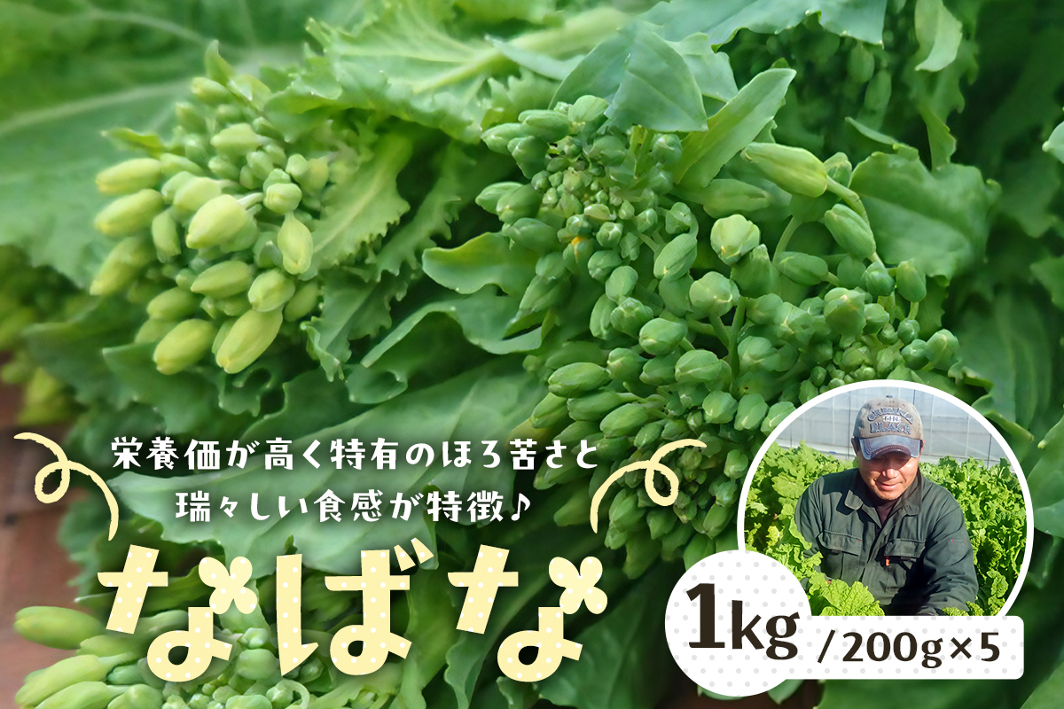 【先行受付 2024年12月中旬～2025年3月上旬発送予定】菜の花/ナバナ 1kg 緑黄色野菜 旬野菜 季節野菜 栄養 千葉県 特産品