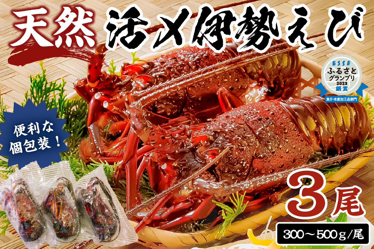 【天然】甘み凝縮！活〆冷凍伊勢海老900ｇ以上（300ｇ×3尾） 