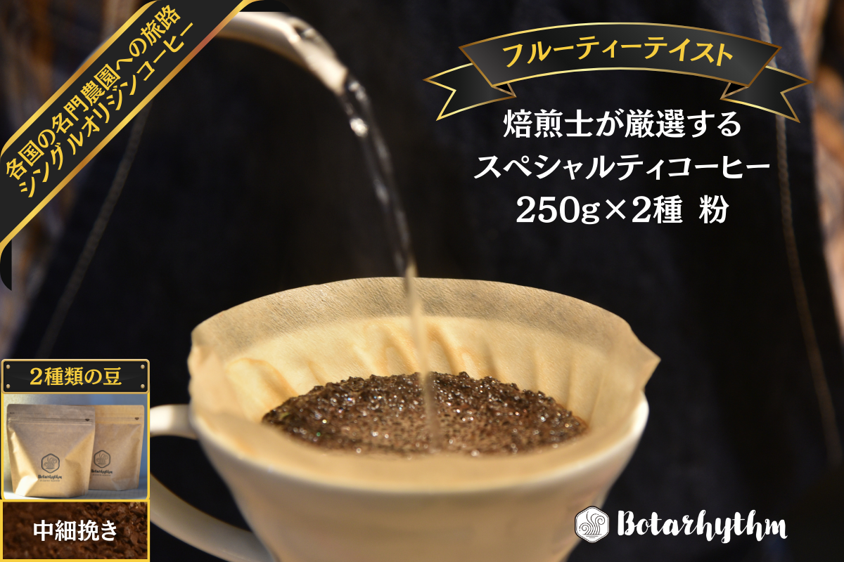 スペシャルティーコーヒー 【フルーティーテイスト】 250g×2種類【中細挽き】 