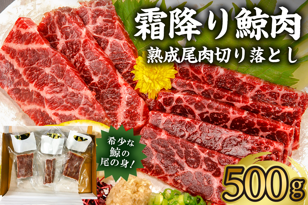 霜降り鯨肉/熟成尾肉（尾の身）切り落とし500g【訳あり不揃い】 