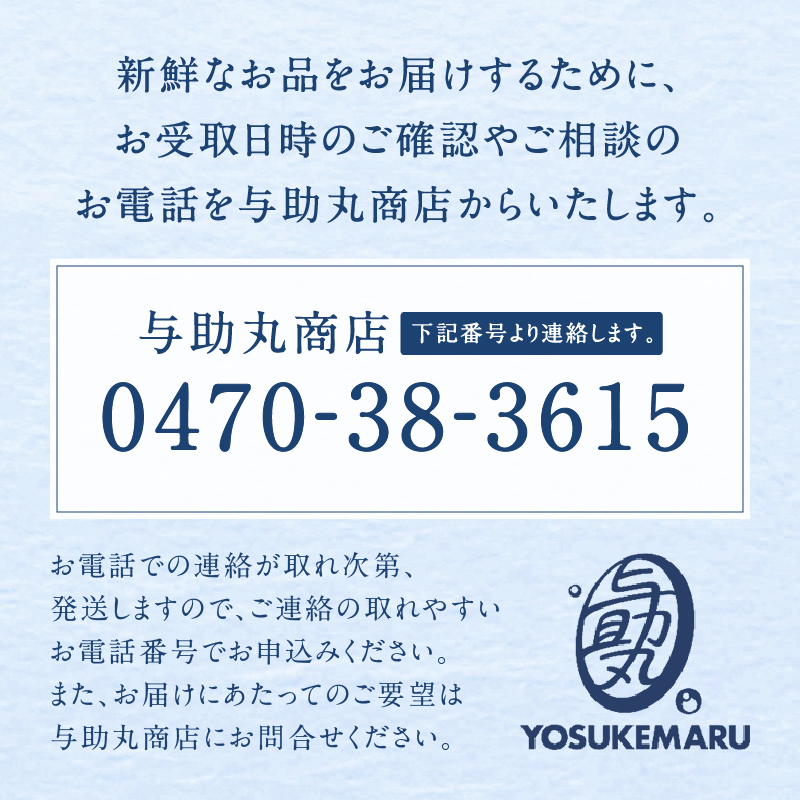 房州産伊勢えび(房州海老)総量 1kg【おがくず梱包】