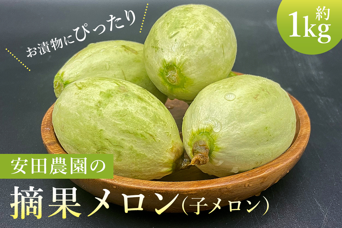 お漬物にぴったり　安田農園の摘果メロン（子メロン）1kg 