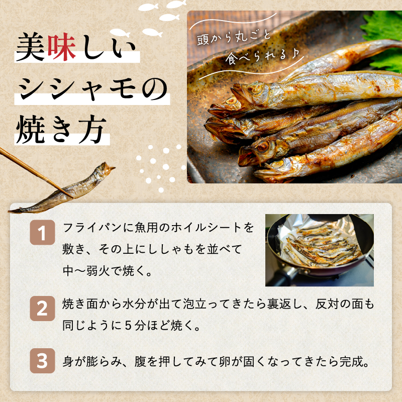 【訳あり】 ししゃも 子持ちシシャモ 1.5kg （500g×3袋） 傷 小分け 