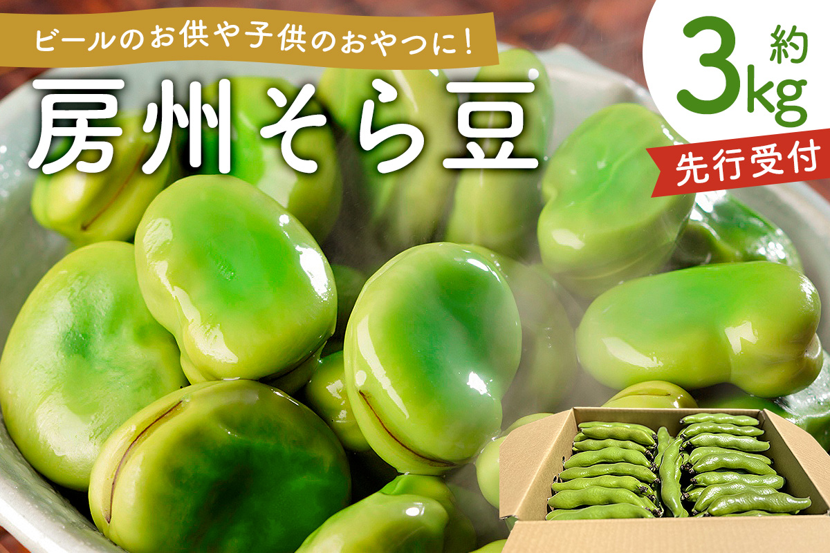 【先行受付 2025年4月25日頃～5月中旬発送予定】朝採れ房州そら豆3kg 【野菜 豆 塩茹 そら豆ご飯 パスタ 春巻き ポタージュ おつまみ】