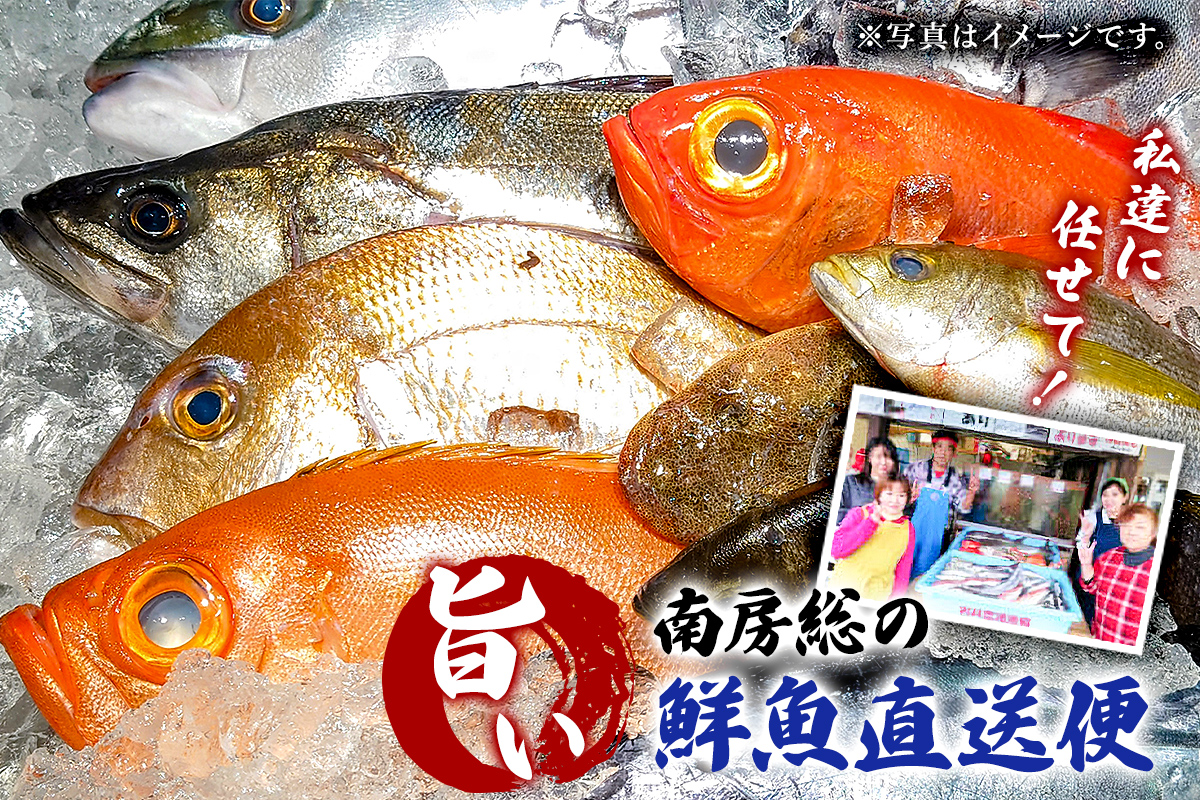 私達に任せてみませんか　南房総の旨い鮮魚直送便 