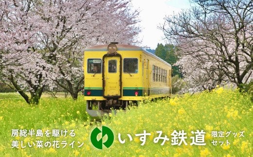 I02035 いすみ車両 Cセット