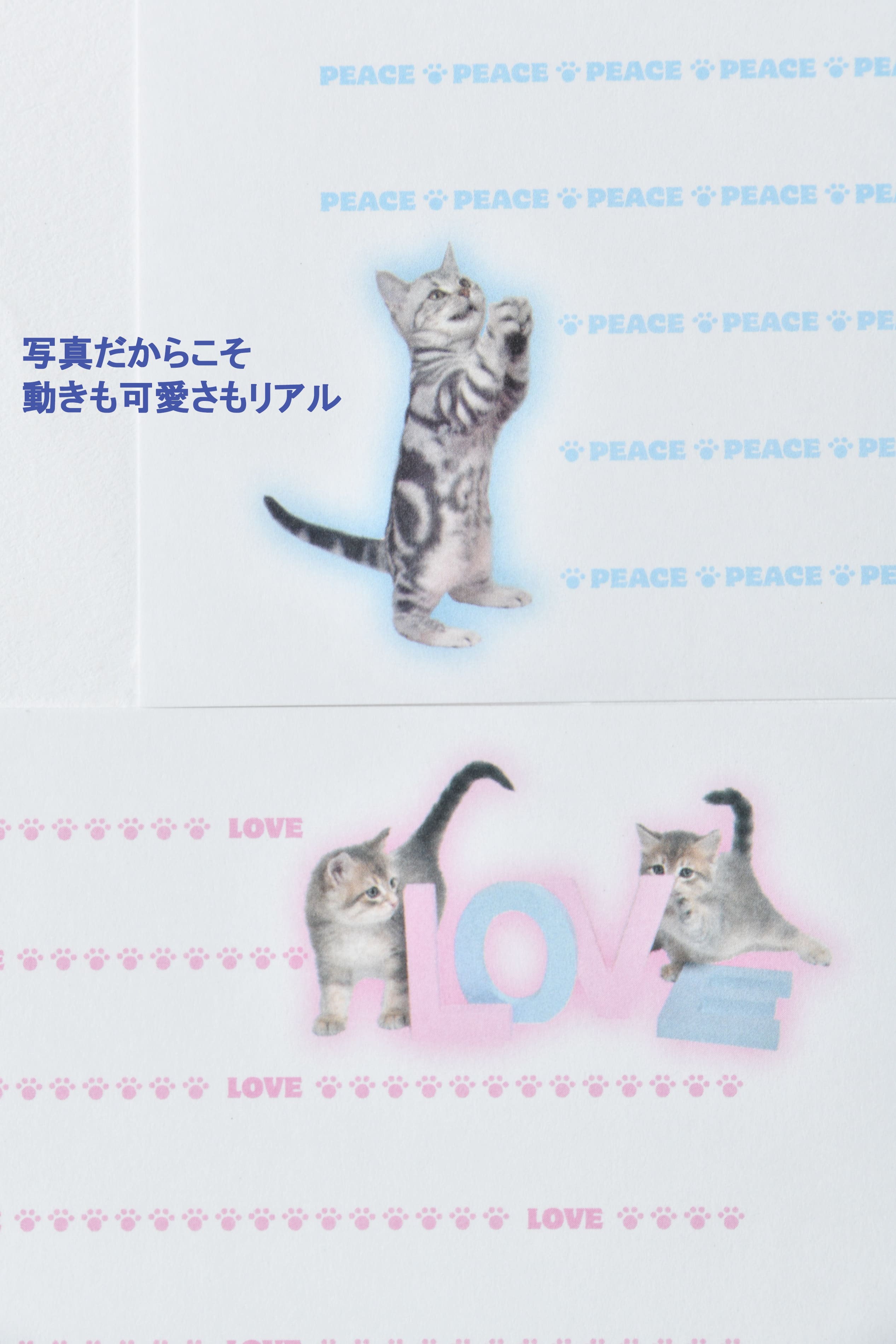 猫写真の一筆箋「にゃん筆箋」隔月ごとに新作２種類が３回届くセット