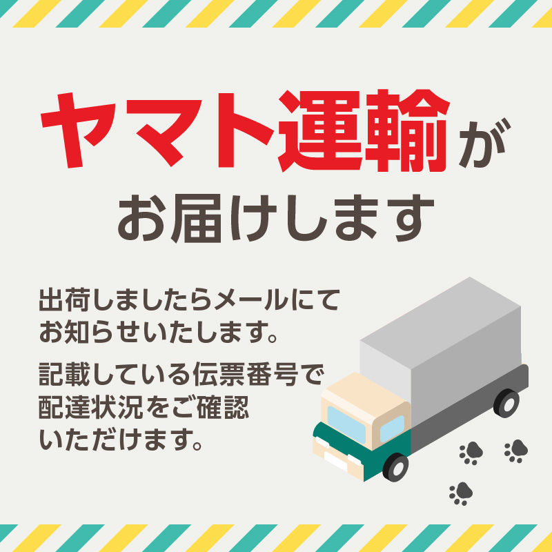 染の里おちあい　御朱印帳　江戸更紗裂取(赤)