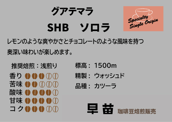【早苗】焙煎珈琲豆（さわやかな酸味を楽しむセット　3種×各100g）