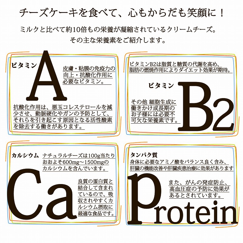 【エニシダ】糖質85％カット 低糖質レアチーズケーキ