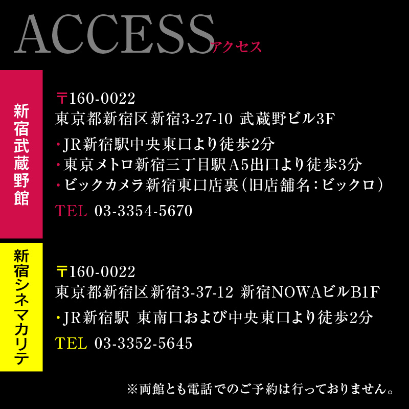 映画鑑賞チケット（新宿武蔵野館、シネマカリテ共通券）１枚