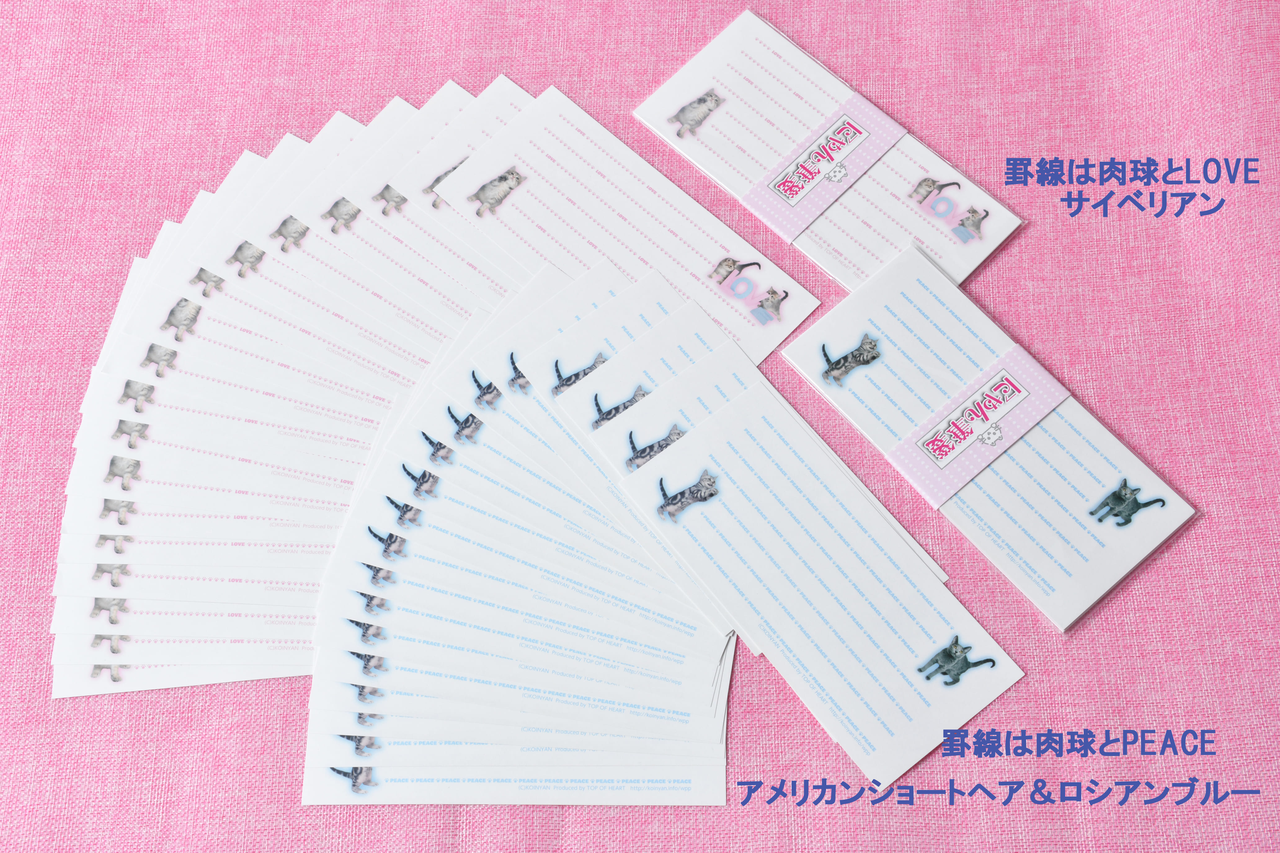 猫写真の一筆箋「にゃん筆箋」隔月ごとに新作２種類が３回届くセット