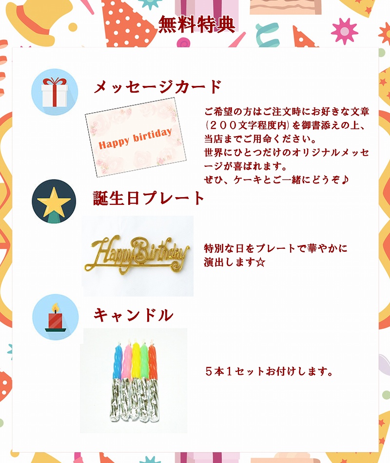 【エニシダ】誕生日ケーキ フロマージュ・ショコラ・リッチェ(キャンドル・誕生日プレート付)