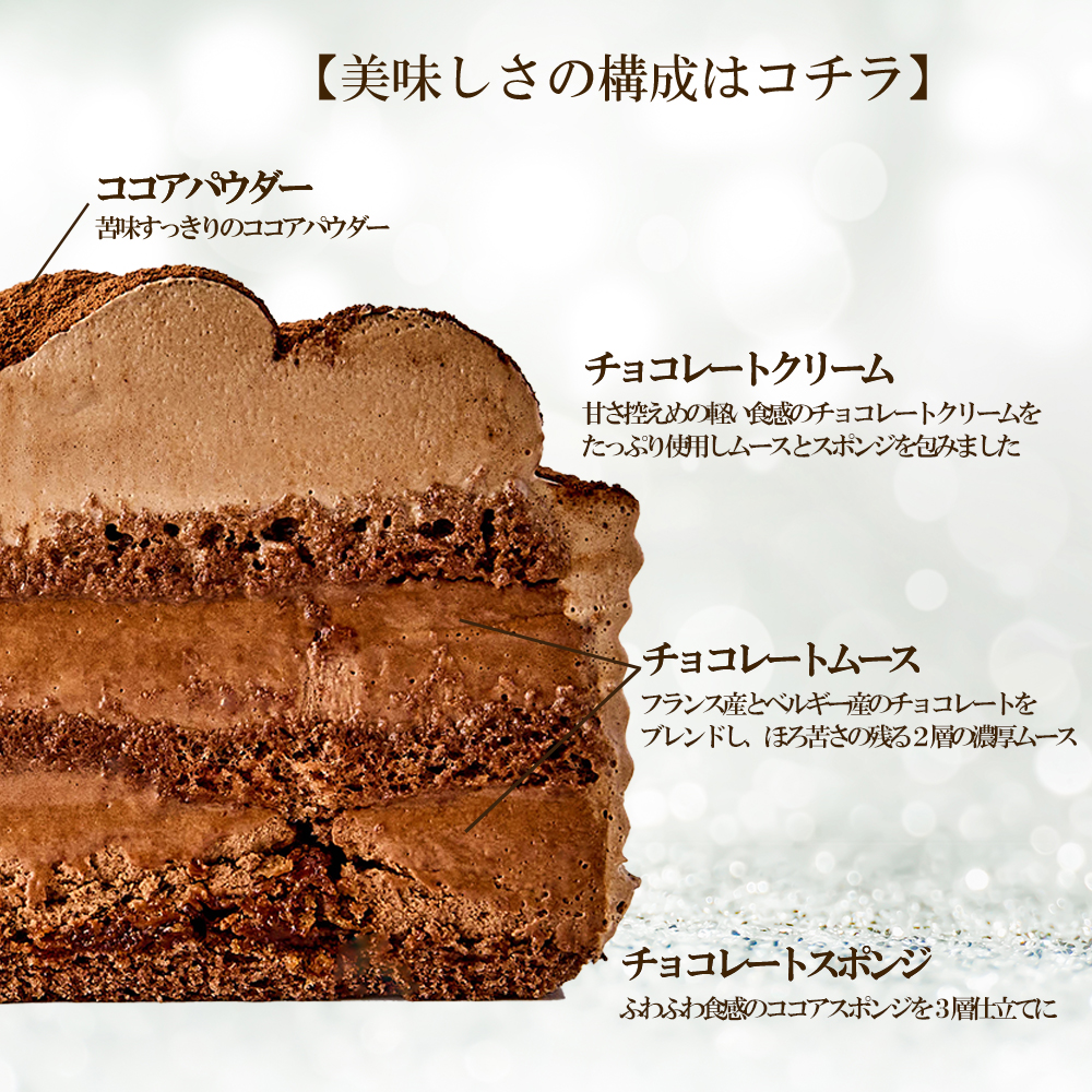 クリスマスケーキ ガトーショコラ 5号