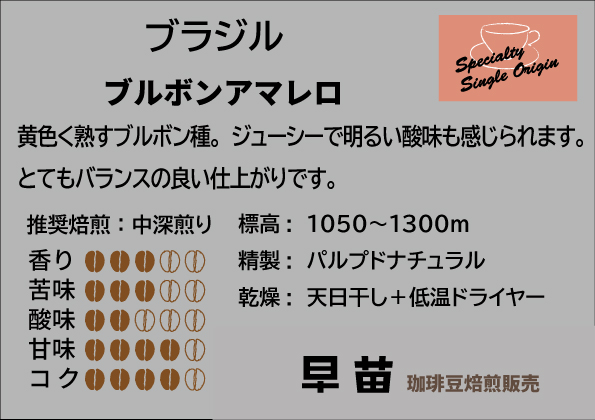 【早苗】焙煎珈琲豆（どっしりとした苦みを味わうセット　3種×各100g）