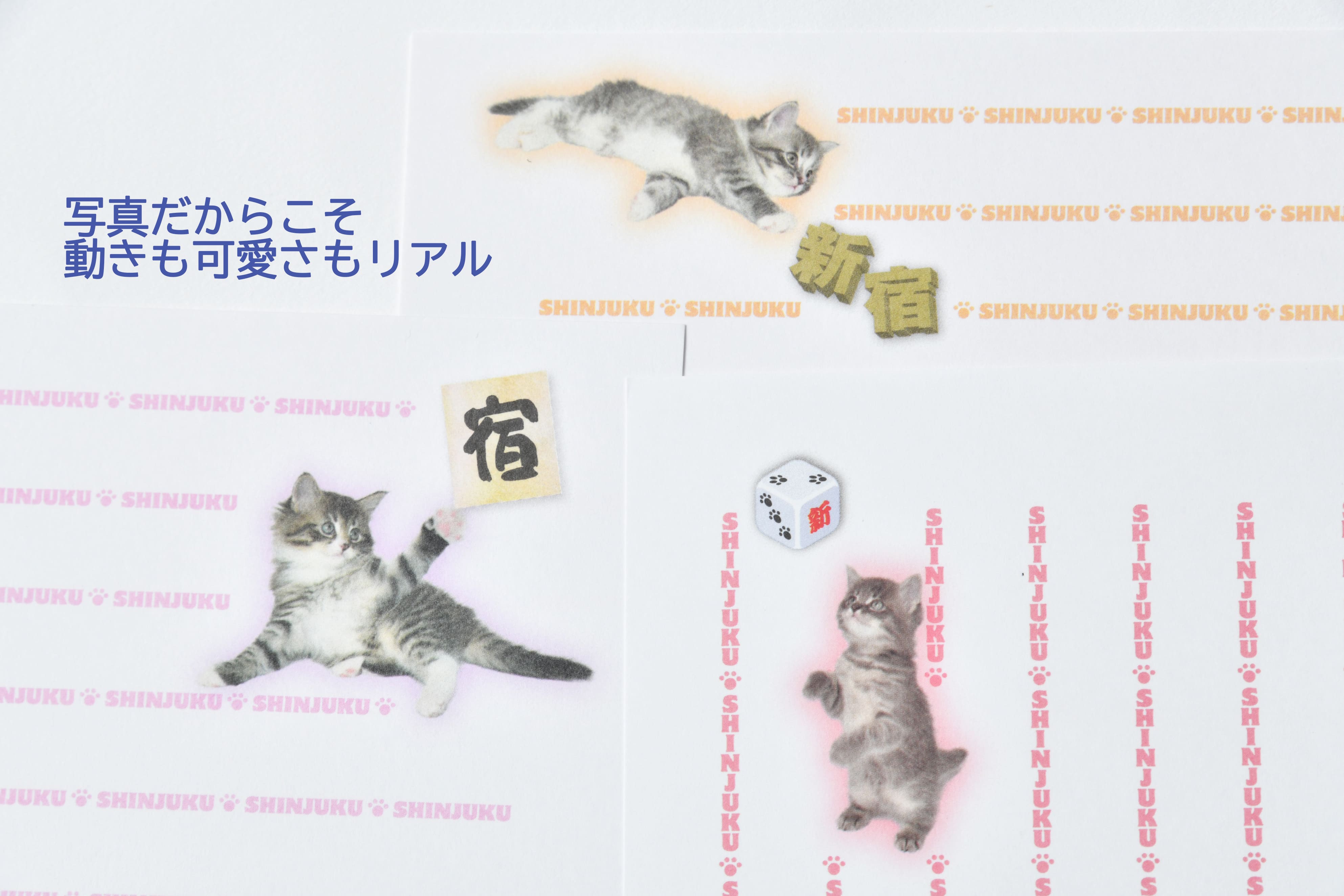 猫写真の一筆箋「にゃん筆箋」新宿キャット3パックセット