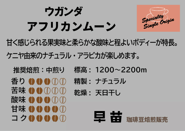 【早苗】焙煎珈琲豆（いつもと違った個性派セット　3種×各100g）