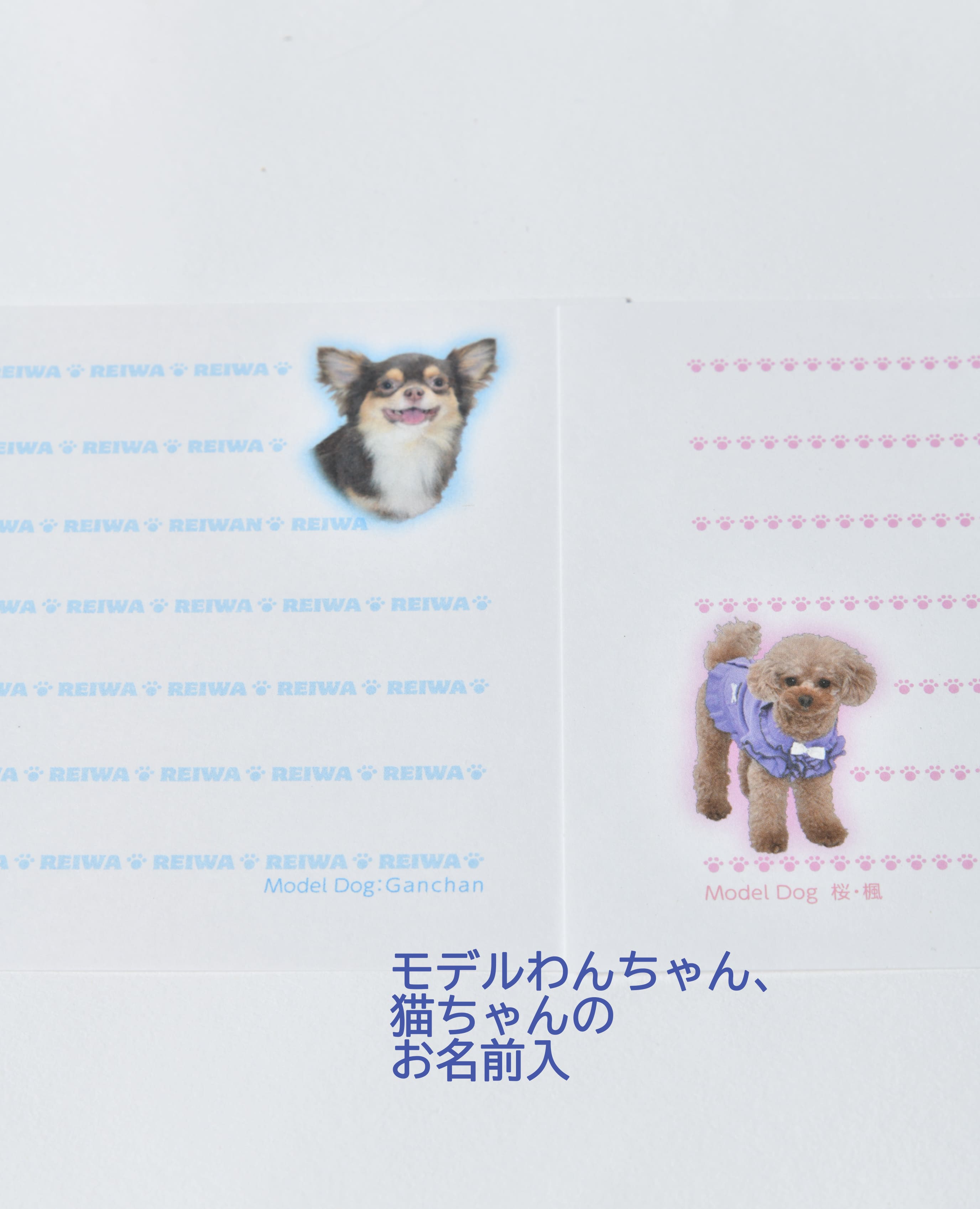 犬猫写真の一筆箋「わんにゃん筆箋」お家の犬猫の写真でオリジナル作成