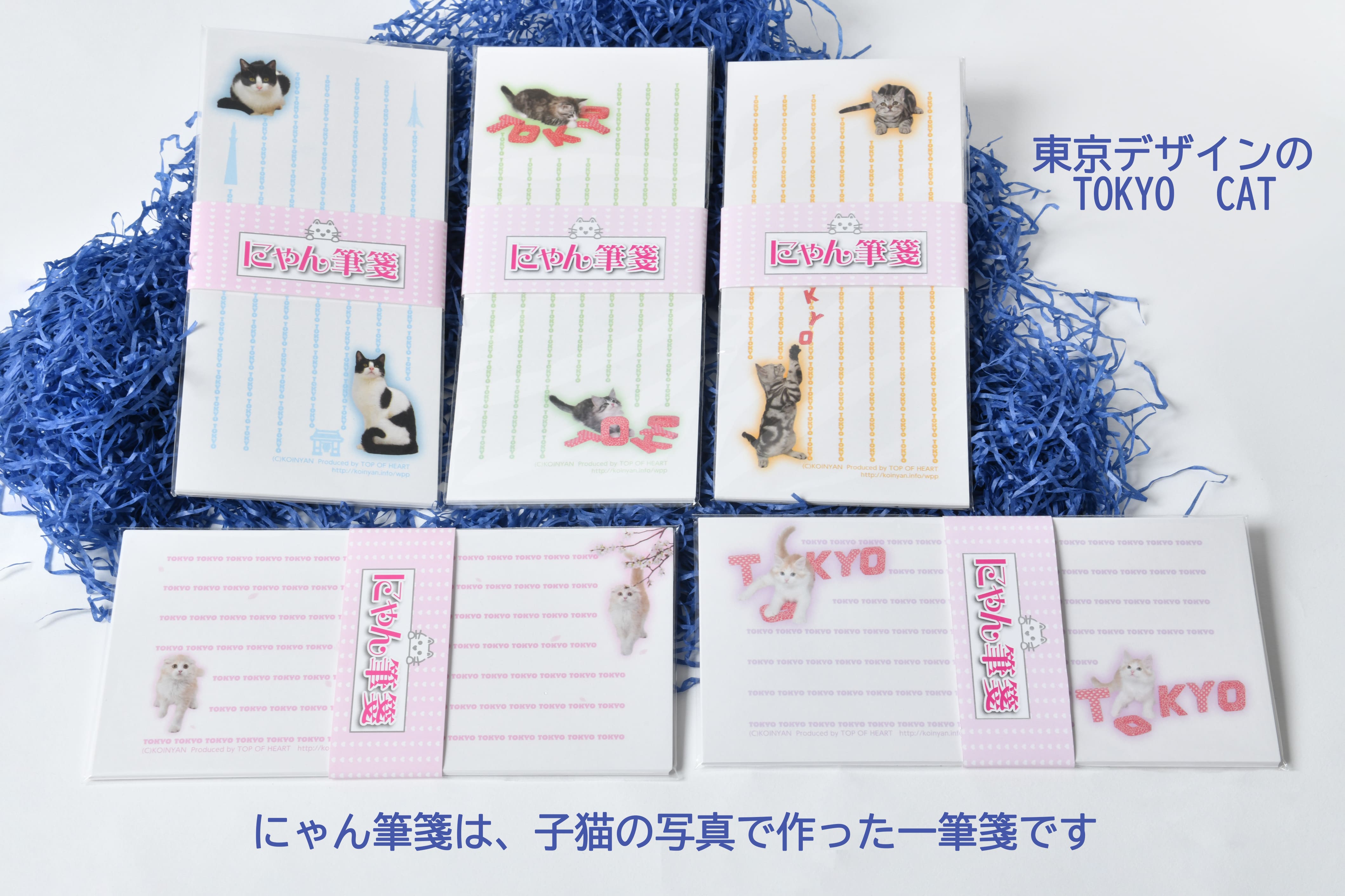 猫写真の一筆箋「にゃん筆箋」東京キャット5種セット