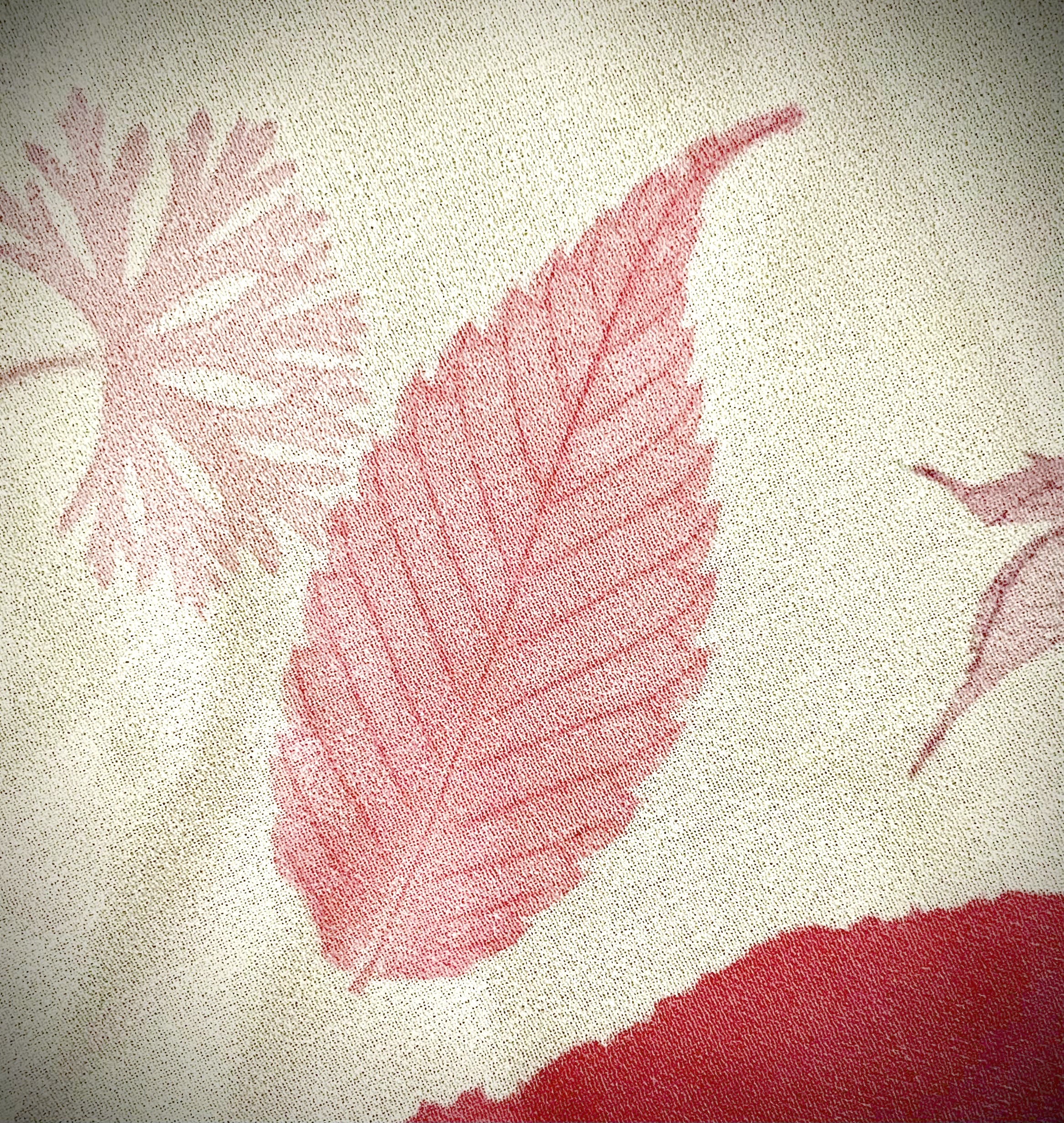 染めの王国新宿　神楽坂生まれの新時代の染色　「山の幸染め」スカーフ