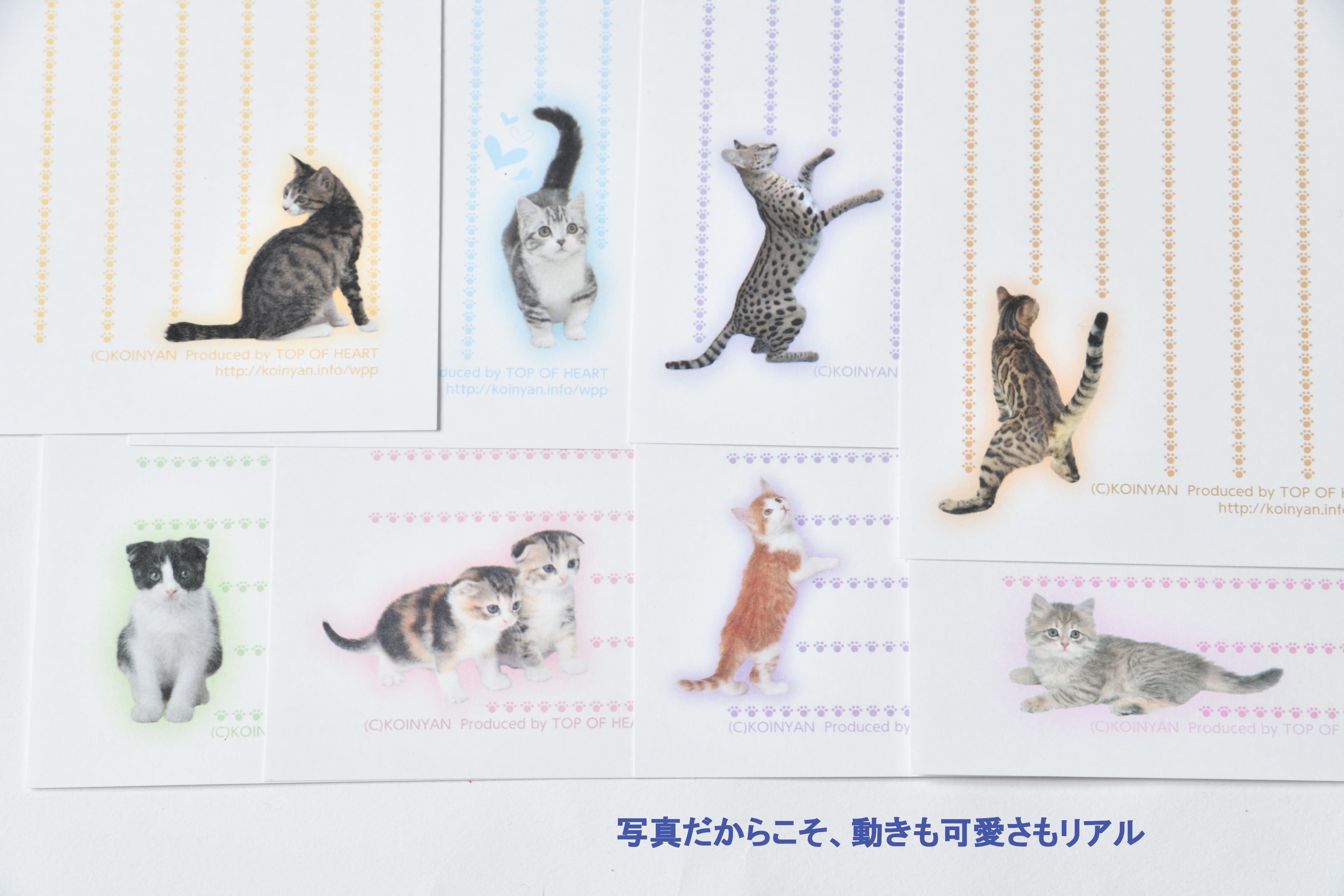 猫写真の一筆箋「にゃん筆箋」猫種いろいろ肉球キャット8種セット