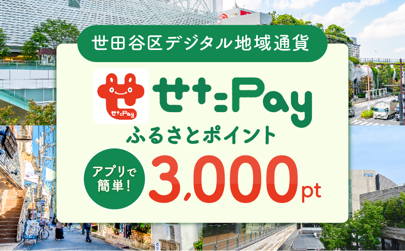 せたがやPay ふるさとポイント3,000pt（1pt＝1円）