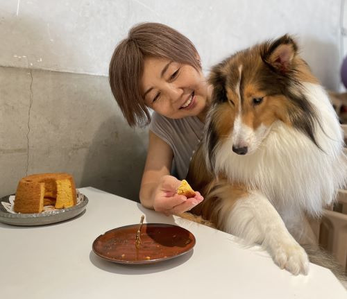 無為自然　一期一会・M（飼い主と愛犬がシェアして食べる米粉シフォンケーキ、ブルーベリーパウンドケーキ（注）＆スペシャルティコーヒー「焙煎豆（中挽き）」セット）【世田谷みやげ】