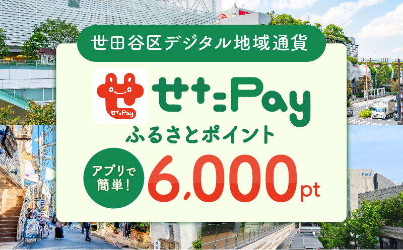 せたがやPay ふるさとポイント6,000pt（1pt＝1円）