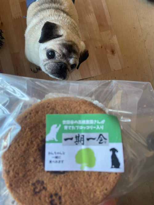 無為自然　一期一会・Ｓ（飼い主と愛犬がシェアして食べる米粉シフォンケーキとスペシャルティコーヒー「焙煎豆（中挽き）」セット）【世田谷みやげ】