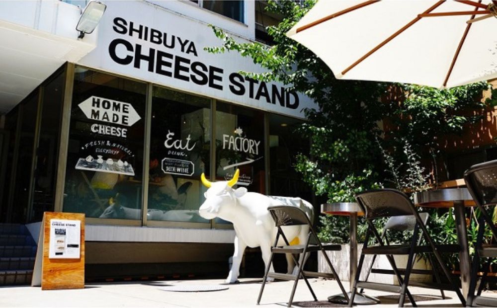 CHEESE STAND 朝食向けフレッシュ3種×3セット