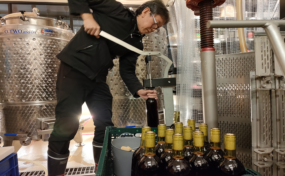 渋谷ワイナリー東京醸造・ハチ公生誕100周年オリジナルラベルワイン1本