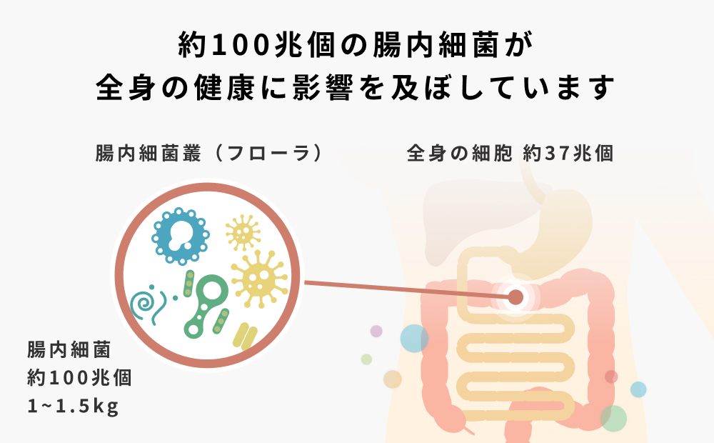 腸内フローラ検査を用いた管理栄養士による栄養指導