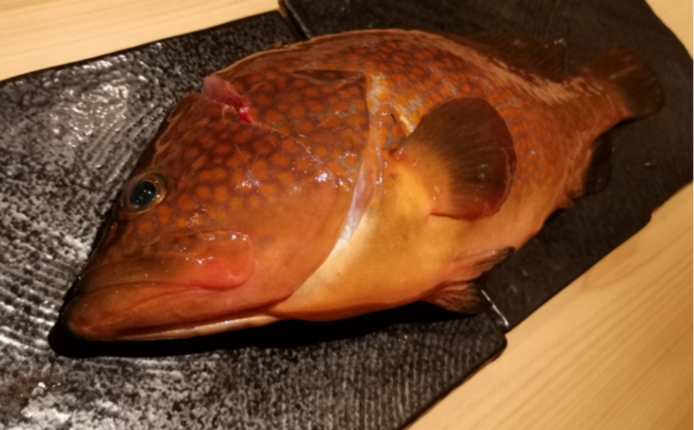 [鮨花おか]特選コース お食事券