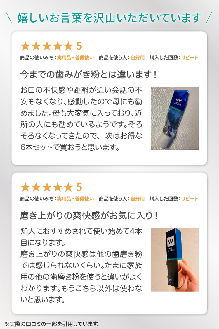 【6ヵ月定期便】口臭ケア 歯磨き粉 ブレステック ハーブミント味 ホワイトエッセンス [医薬部外品] | 定期便 6か月 研磨剤なし フッ素 IPMP CPC 黄ばみ ヤニ取り 茶渋 自宅 簡単 歯 歯科 歯みがき粉 歯磨き 歯医者 歯周病 ブレスケア オーラルケア