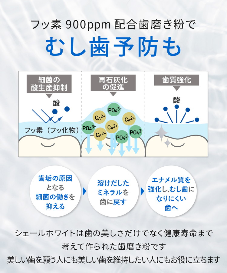 【6本セット】ホワイトニング 歯磨き粉 シェールホワイト アプリコットミント味 ホワイトエッセンス [医薬部外品] | フッ素 サンゴパウダー peg400 着色 ステイン 黄ばみ ヤニ取り 茶渋 自宅 歯 歯科 歯医者 歯磨き