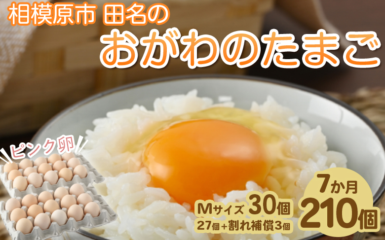 7ヶ月定期便】相模原市田名のおがわのたまご ピンク卵 Mサイズ 30個(27