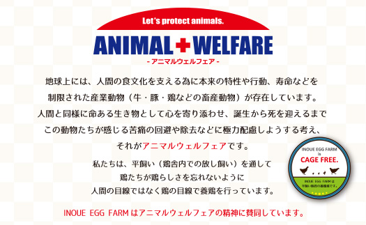 【2ヶ月定期便】《かながわブランド認定》平飼い有精卵さがみっこ 30個×2か月| 平飼い ケージフリー 卵 有精卵 鶏卵 玉子 たまご 生卵 国産 濃厚 コク 旨味 ※離島への配送不可