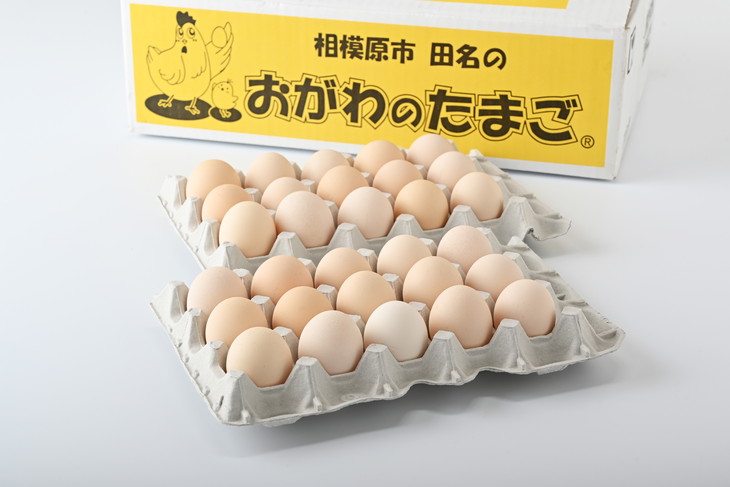 相模原市田名のおがわのたまご　ピンク卵（Lサイズ）30個
