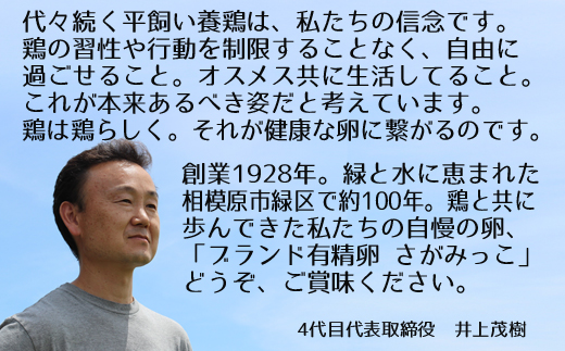 【6ヶ月定期便】《かながわブランド認定》平飼い有精卵さがみっこ 30個×6か月| 平飼い ケージフリー 卵 有精卵 鶏卵 玉子 たまご 生卵 国産 濃厚 コク 旨味 ※離島への配送不可