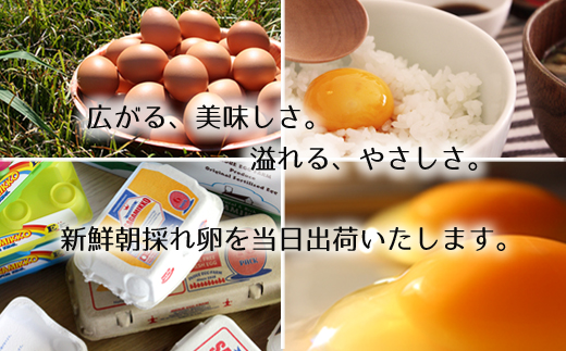 【2ヶ月定期便】《かながわブランド認定》平飼い有精卵さがみっこ 30個×2か月| 平飼い ケージフリー 卵 有精卵 鶏卵 玉子 たまご 生卵 国産 濃厚 コク 旨味 ※離島への配送不可