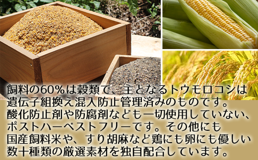 【12ヶ月定期便】《かながわブランド認定》平飼い有精卵さがみっこ 30個×12か月| 平飼い ケージフリー 卵 有精卵 鶏卵 玉子 たまご 生卵 国産 濃厚 コク 旨味 ※離島への配送不可