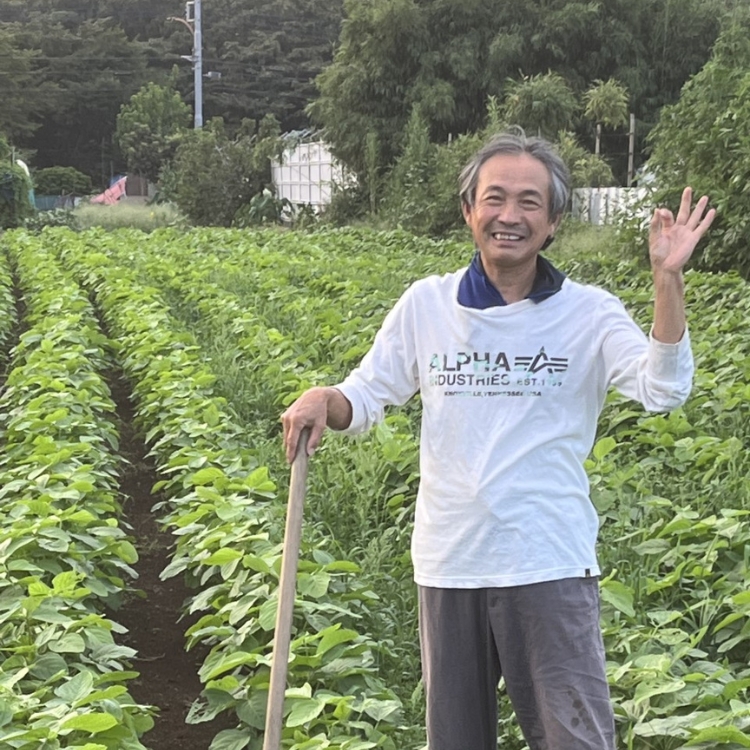 津久井在来大豆のふく豆ざんまいセット