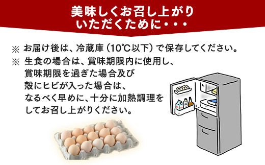 相模原市田名のおがわのたまご　ピンク卵（Mサイズ）75個＋割れ補償5個入り（計80個）|卵 鶏卵 玉子 たまご 生卵 国産 濃厚 コク 旨味 旨み